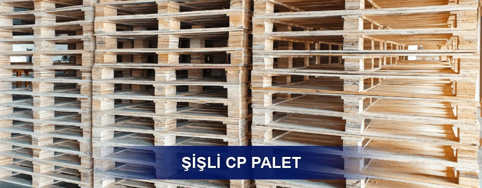 Şişli Standart Tipler