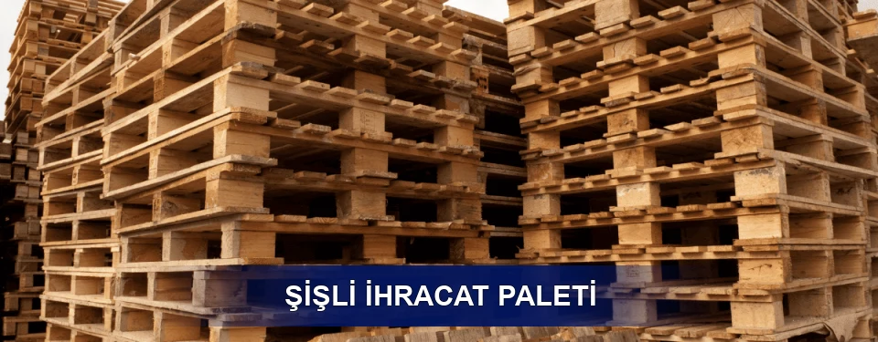 Şişli ISPM 15 Seçimi